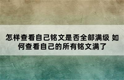 怎样查看自己铭文是否全部满级 如何查看自己的所有铭文满了